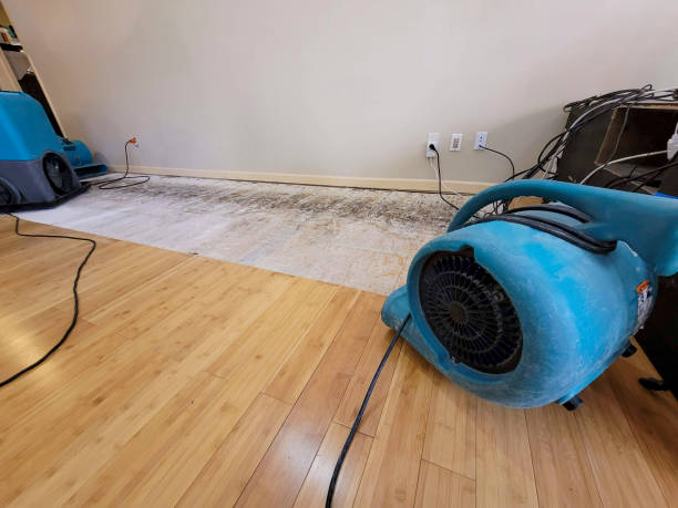 Professional Structural Drying technician working in Howland, ME